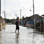 Hurricane Milton could cost insurers $60 billion, raise reinsurance rates, RBC says