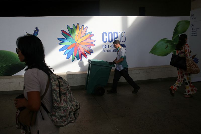 Analysis-World lags on 2030 nature goals headed into UN COP16 talks