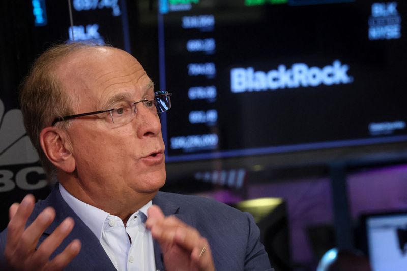 BlackRock’s Fink bullish on private markets amid high US deficit