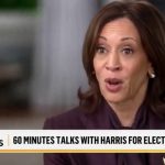 Harris said candidates must ‘earn’ voter support — despite skipping primaries before becoming Dem nominee