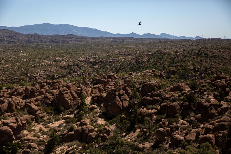 Rio Tinto exec asks Trump Administration to speed up permitting