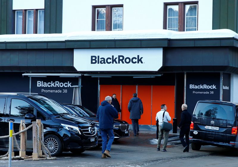 BlackRock in talks about a strategic tie-up with Millennium – sources