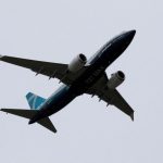 FAA will not require immediate 737 MAX engine action after bird strikes