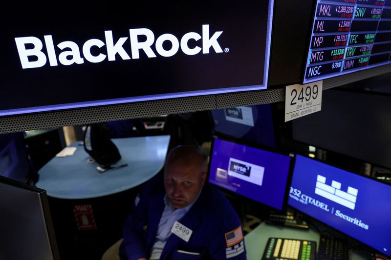 US House panel finds BlackRock, other asset managers leery of joining climate initiative