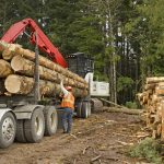 Raymond James upgrades timber REITs on improving lumber market fundamentals