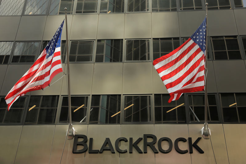 BlackRock CEO suggests renewed investment in Europe amid modest growth