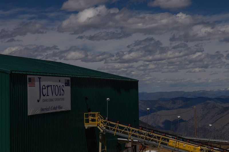 Cobalt miner Jervois in rescue deal after struggle to compete with China