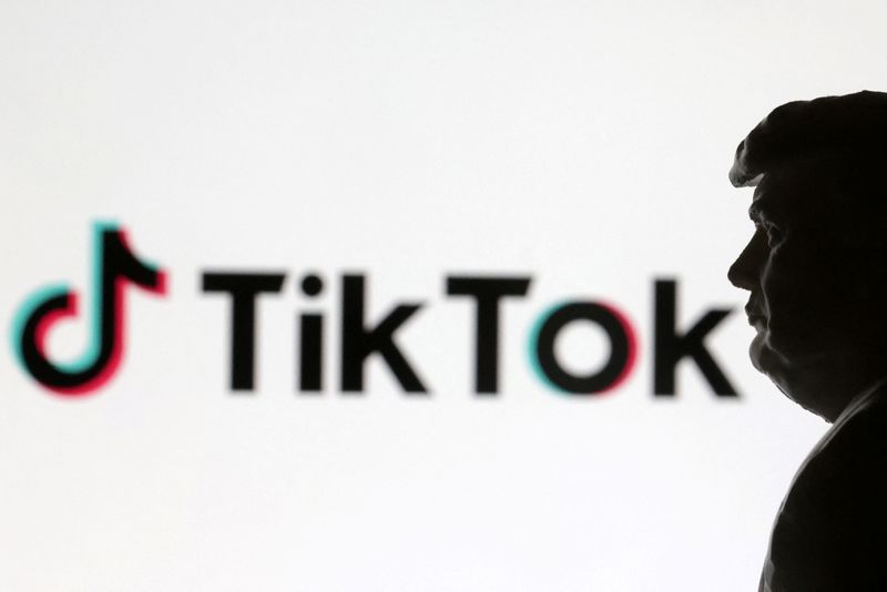 TikTok’s fight against going dark gains support from key US lawmakers