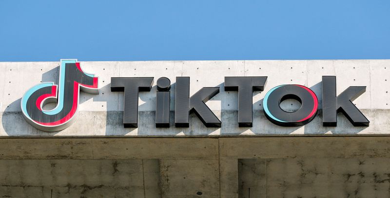 TikTok stops working for US users